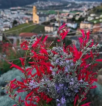 Bed & Breakfast Casa Fiorita *